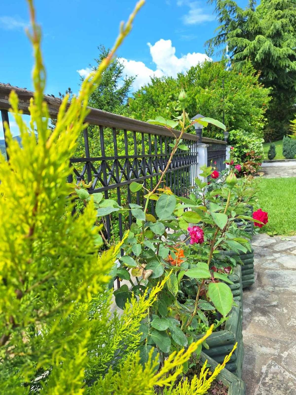 Philoxenia Hotel Paranesti Exterior photo